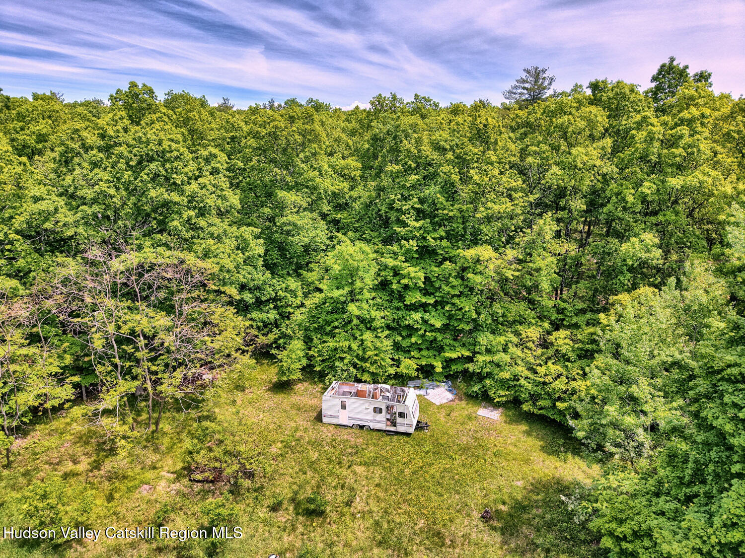 268 Potic Mountain Road Catskill, NY 12414 - Photo 24 of 33 a view of a big yard with plants