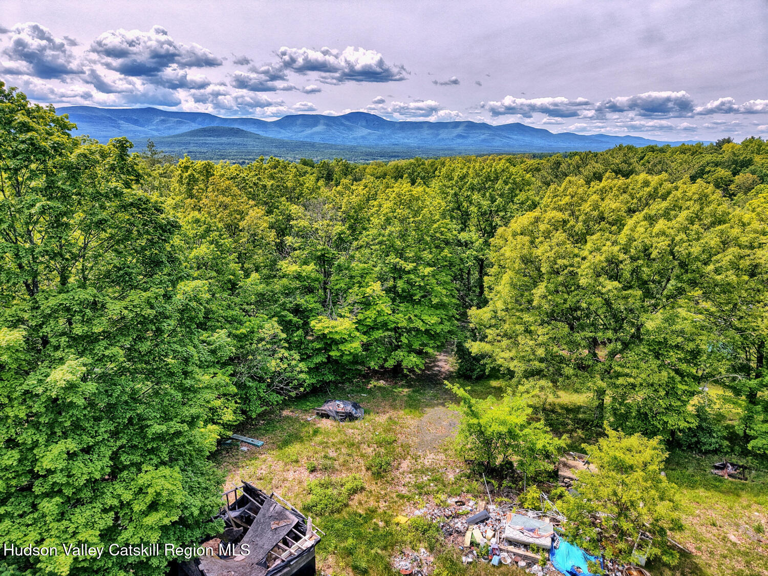 268 Potic Mountain Road Catskill, NY 12414 - Photo 25 of 33 a view of a bunch of flower plants