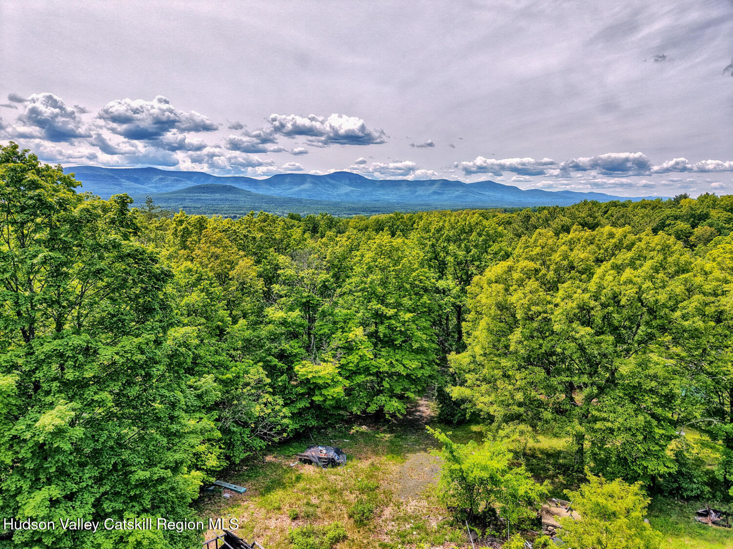268 Potic Mountain Road Catskill, NY 12414 - Photo 26 of 33 a view of a bunch of trees and a houses