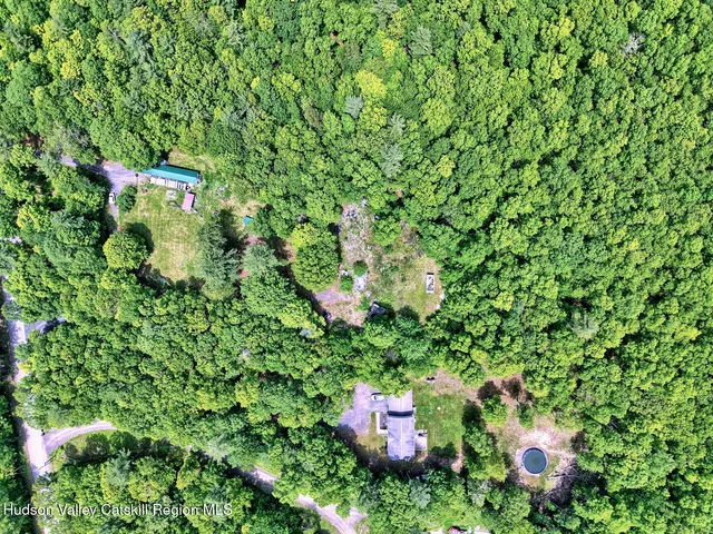 a view of a lush green space