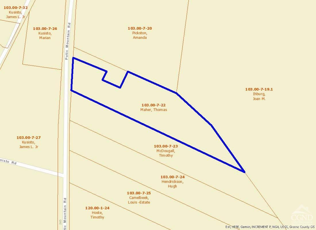 268 Potic Mountain Road Catskill, NY 12414 - Photo 3 of 33 a view of a building