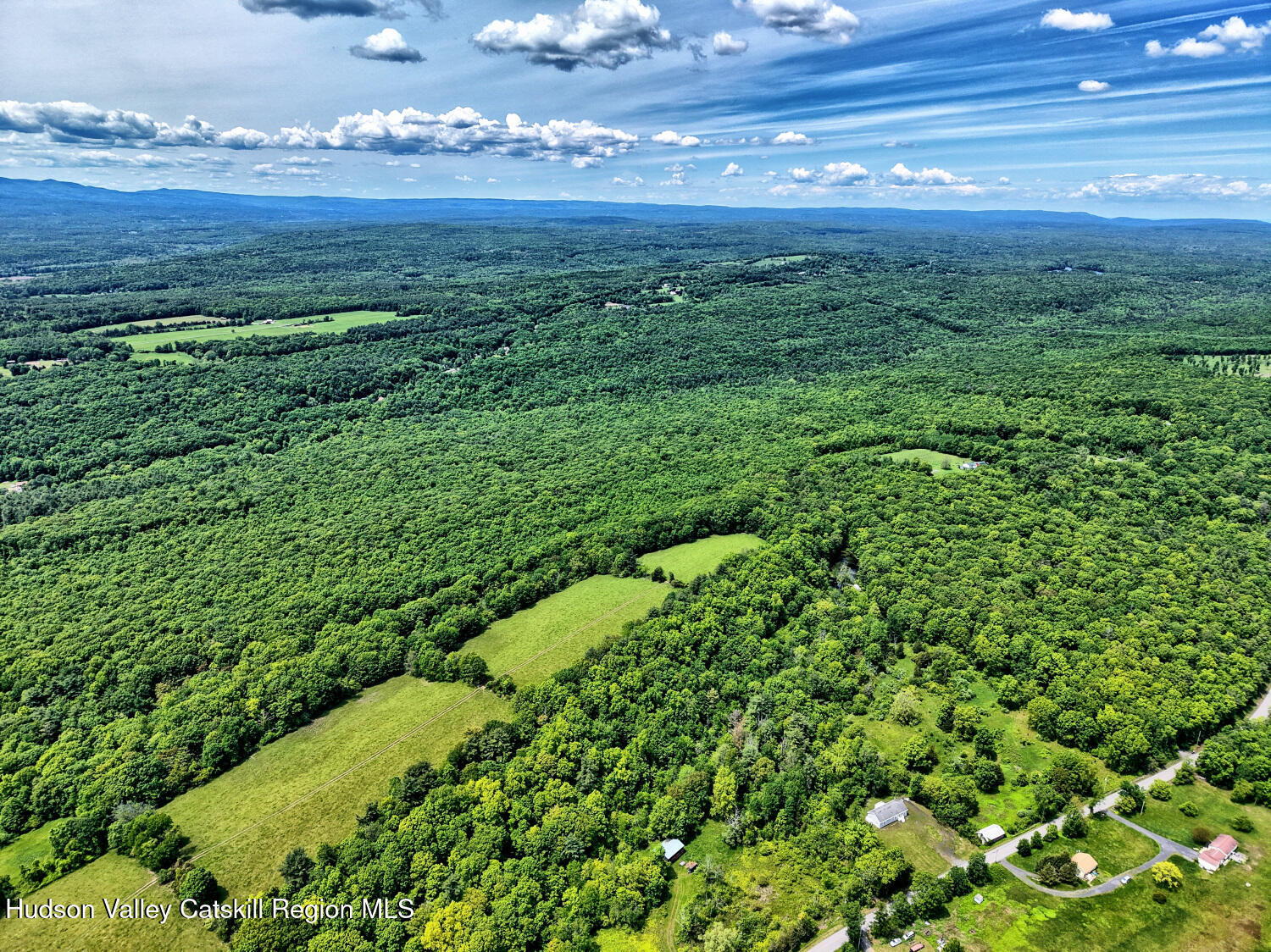 268 Potic Mountain Road Catskill, NY 12414 - Photo 31 of 33 a view of a lush green space