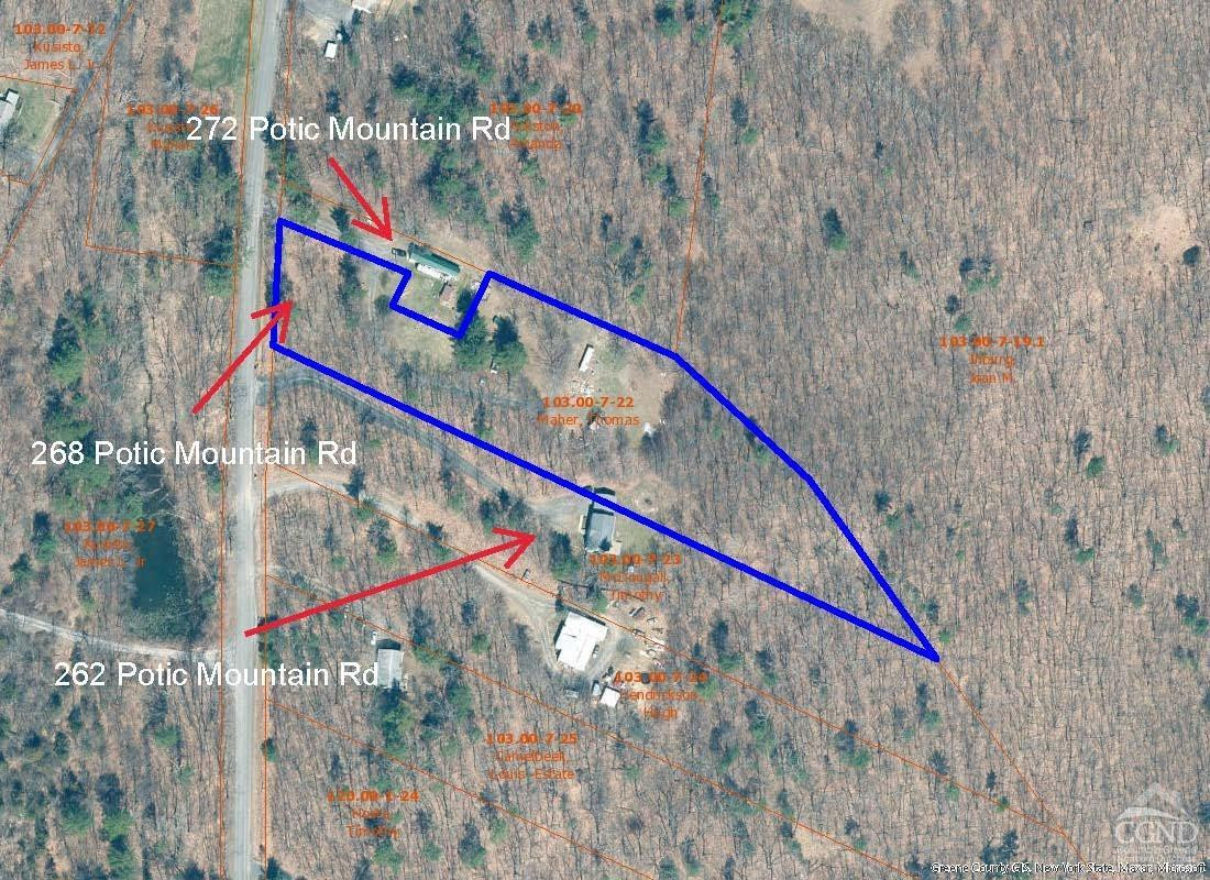 268 Potic Mountain Road Catskill, NY 12414 - Photo 4 of 33