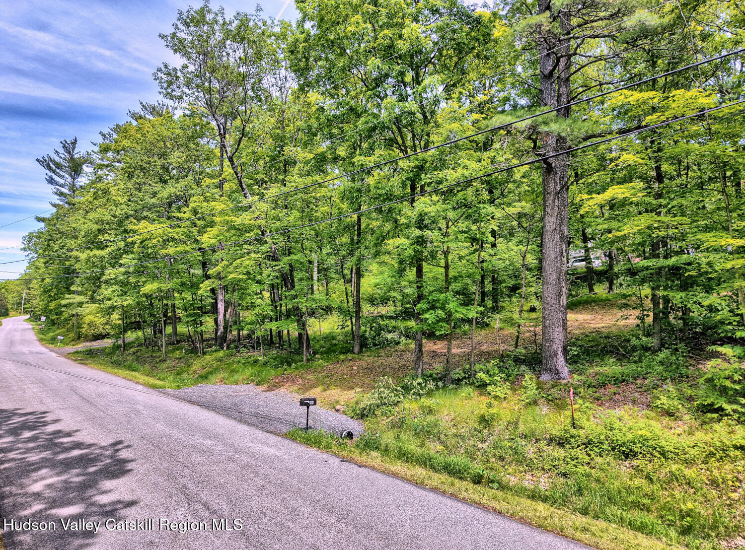 268 Potic Mountain Road Catskill, NY 12414 - Photo 5 of 33 a backyard of a house with lots of green space