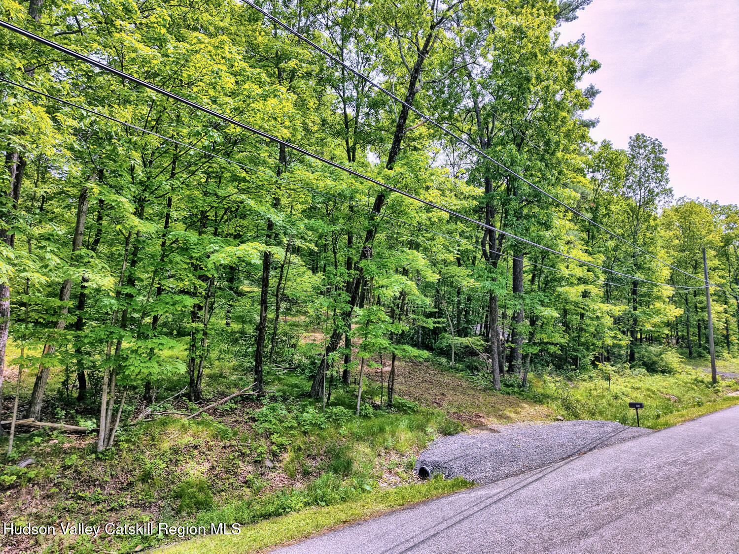 268 Potic Mountain Road Catskill, NY 12414 - Photo 6 of 33 a view of a street with a tree
