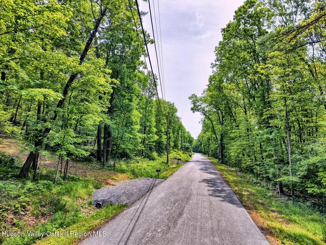 a view of a garden with pathway
