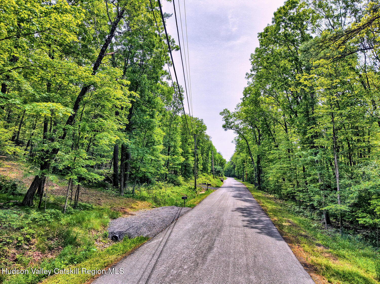 268 Potic Mountain Road Catskill, NY 12414 - Photo 7 of 33 a view of a garden with plants and large trees
