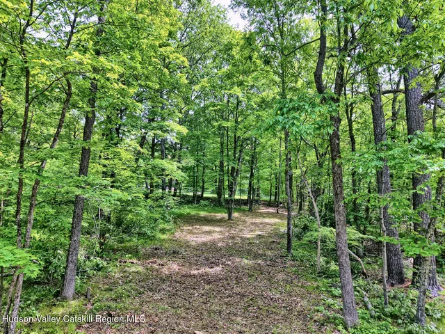 a view of outdoor space with trees all around