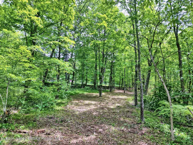 a view of outdoor space with trees