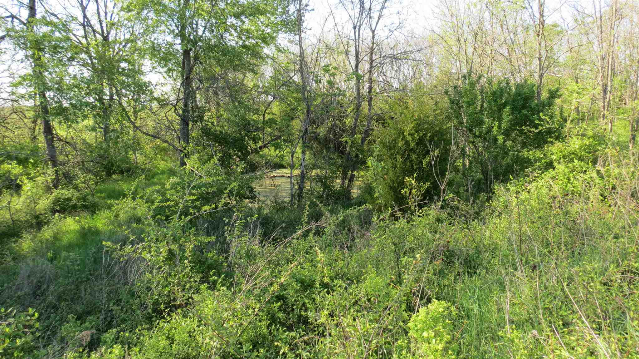 400 Roland Avenue Owenton, KY 40359 - Photo 9 of 16 Gallery Image 9