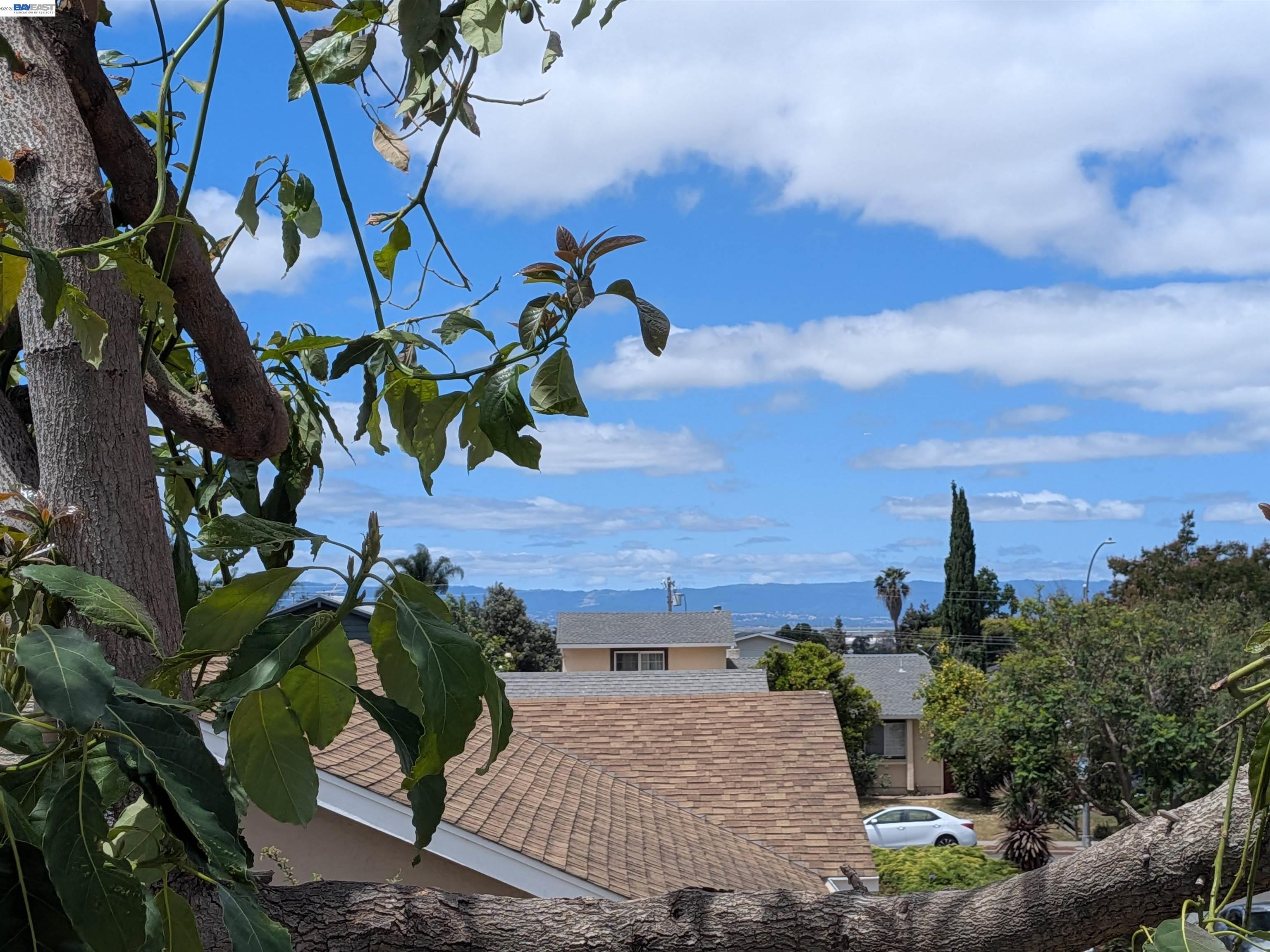 736 Shard Court Fremont, CA 94539 - Photo 48 of 48