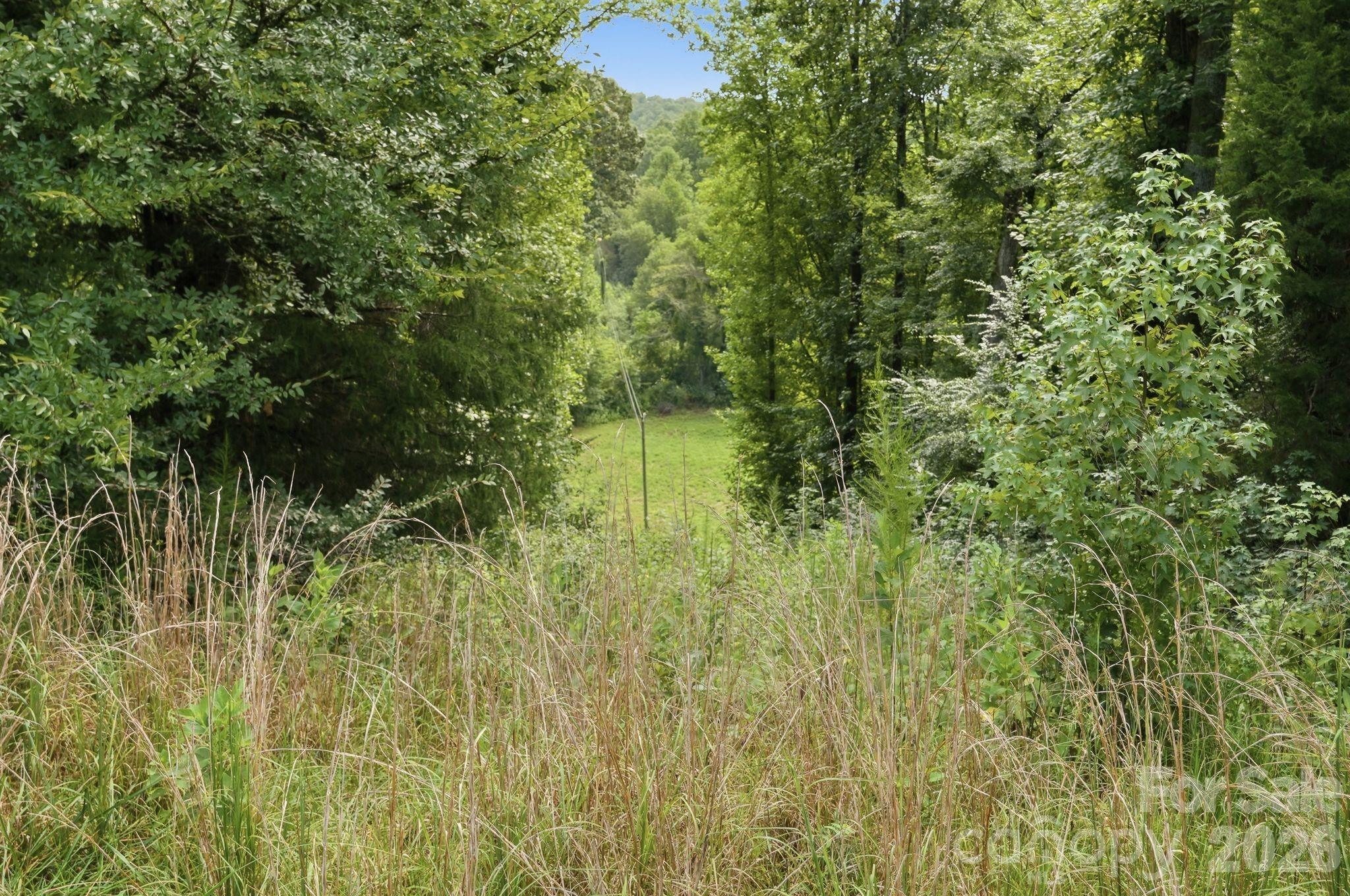 4650 Forest View Road Blacksburg, SC 29702 - Photo 6 of 11 Gallery Image 6