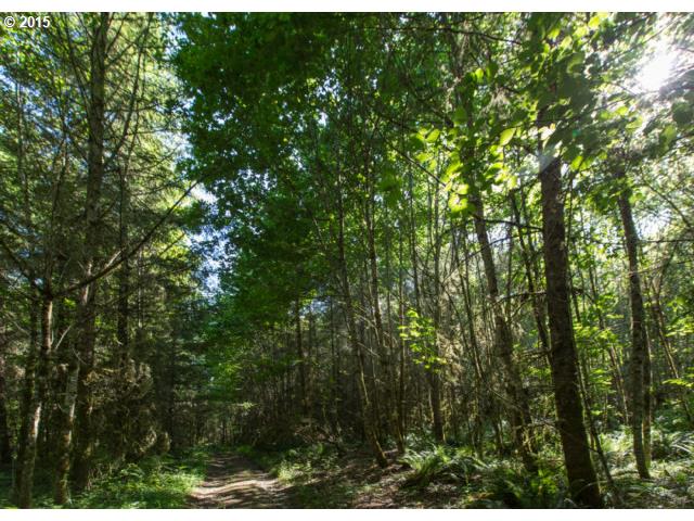 Logie Trail Road Portland, OR 97231 - Photo 4 of 6 a view of a lush green forest