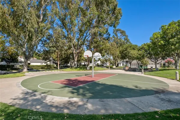a view of a park with large trees