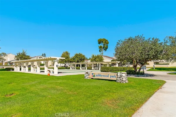 a view of a park with large trees
