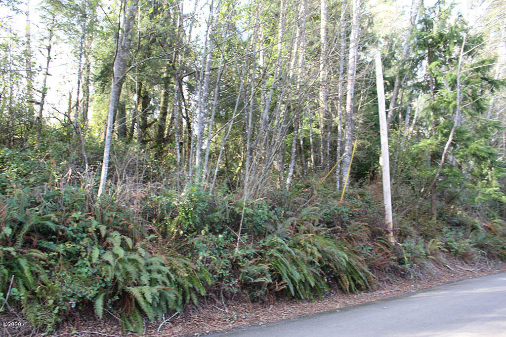146960 Pike Road Tillamook, OR 97141 - Photo 3 of 5 IMG_4971rs