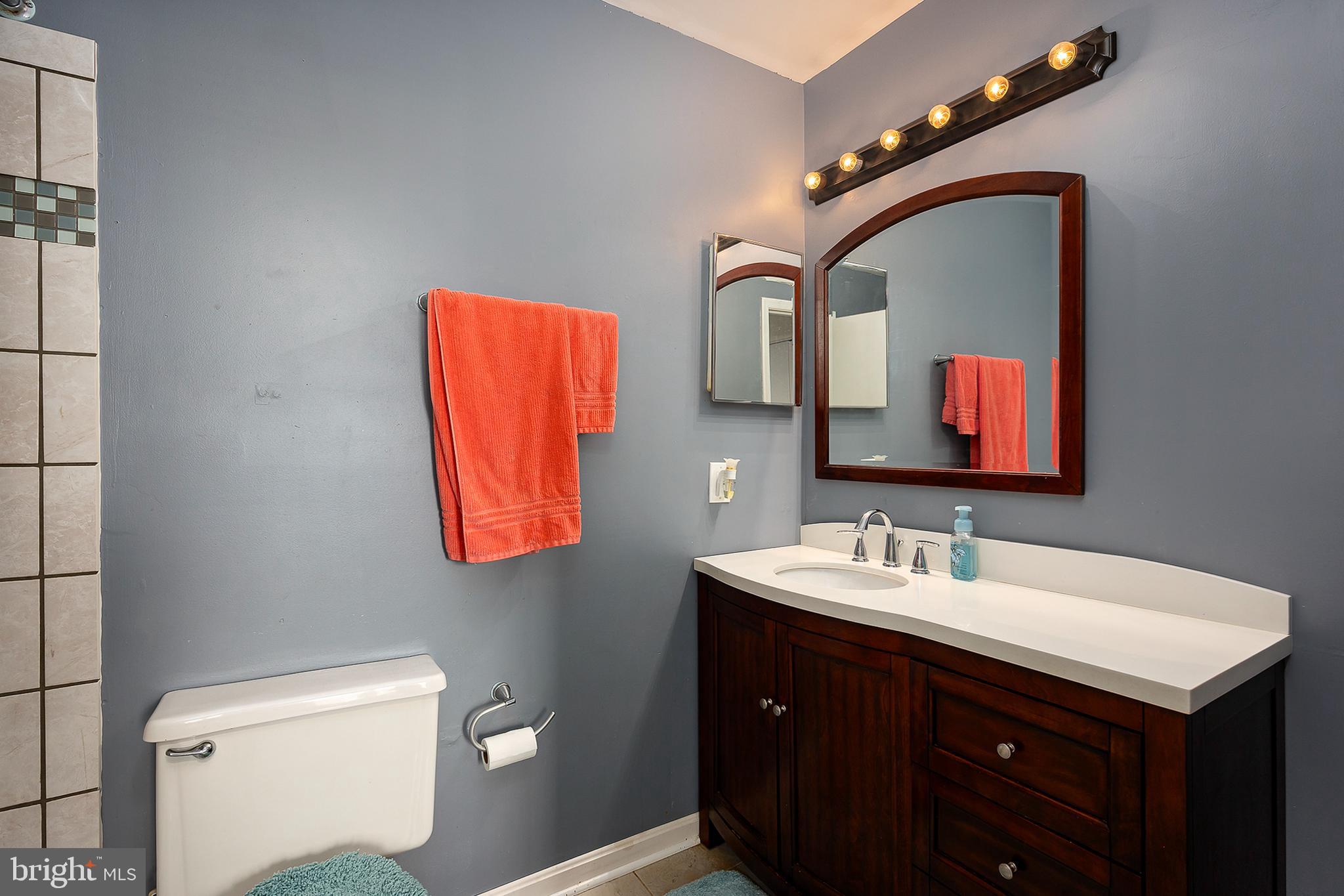 2410 Potterfield Road Baltimore, MD 21244 - Photo 19 of 31 Primary Bathroom
