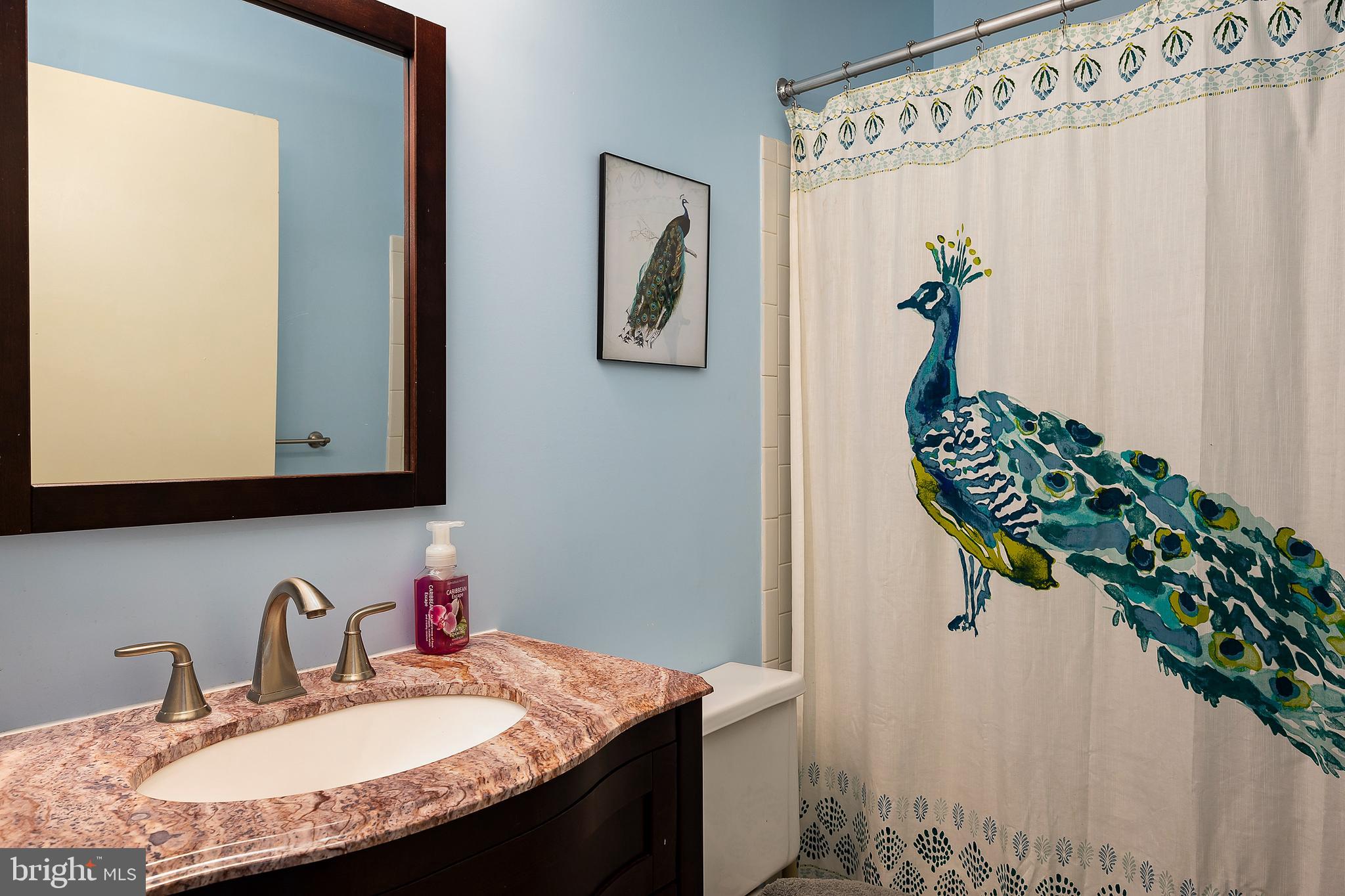 2410 Potterfield Road Baltimore, MD 21244 - Photo 23 of 31 Bathroom 2