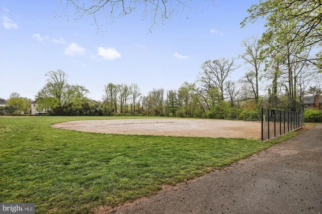 a view of a garden with trees