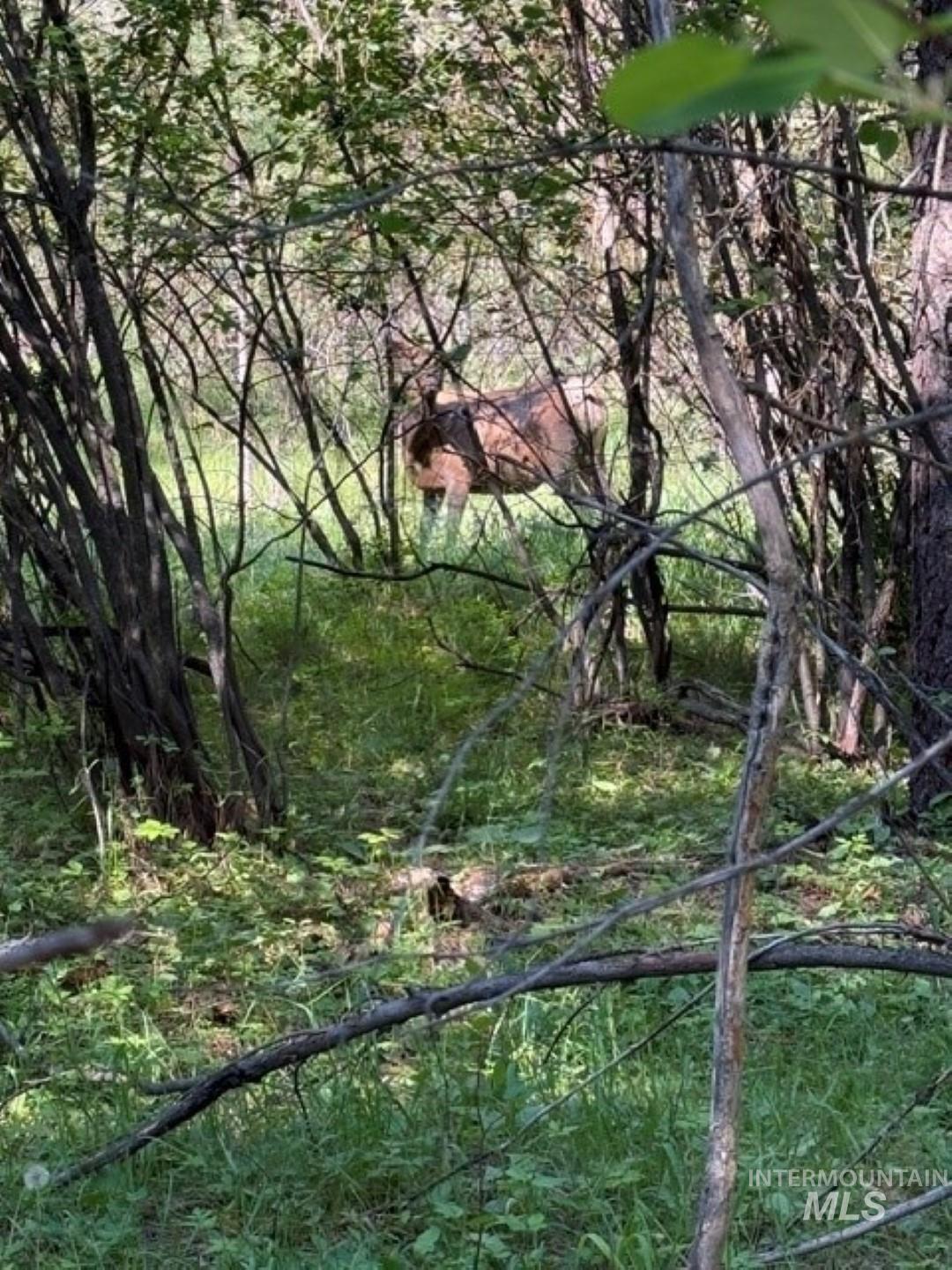 Parcel C Caseys Road Garden Valley, ID 83622 - Photo 19 of 20