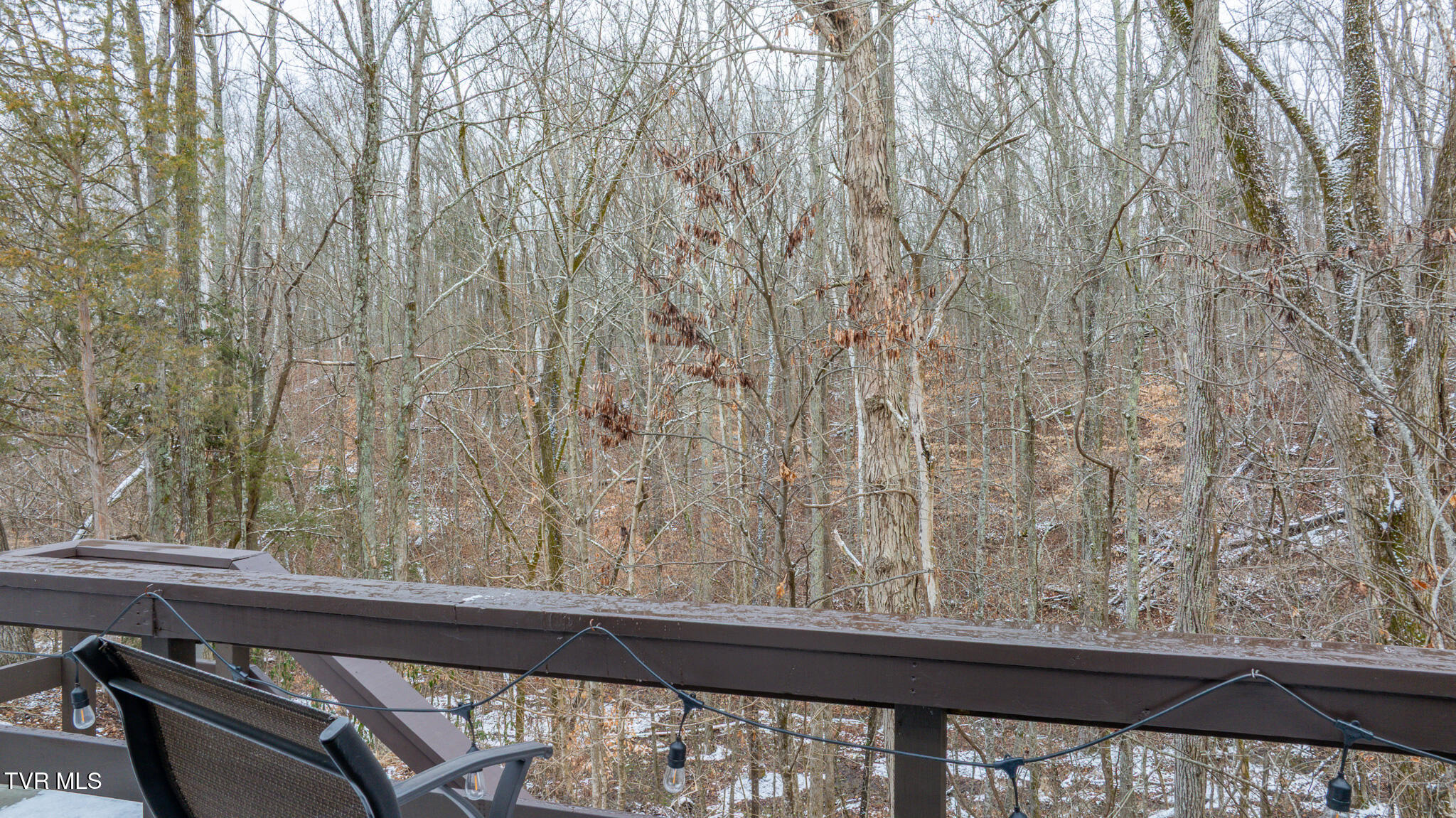 138 Columbine Road Kingsport, TN 37660 - Photo 28 of 29 dji_fly_20260205_133312_0610_17703163995