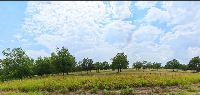 a view of a golf course with a lake