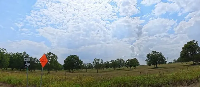 a view of a golf course with a bench