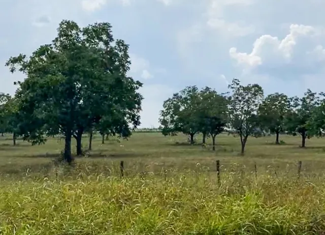 a view of outdoor space with city view