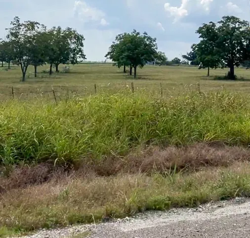 a view of a green field