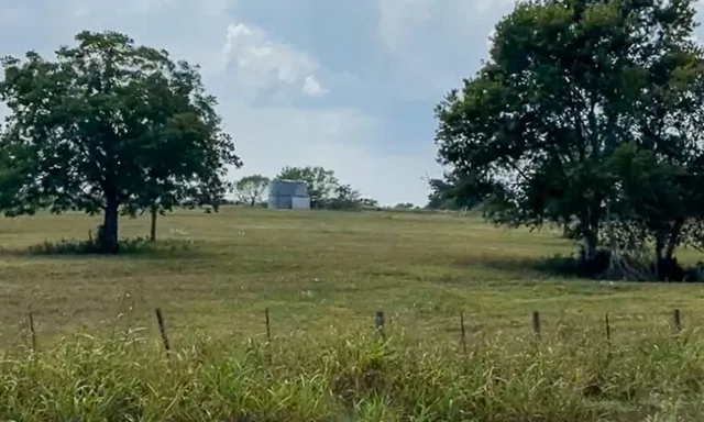 a view of a field with trees