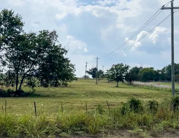 a view of a grassy field with trees