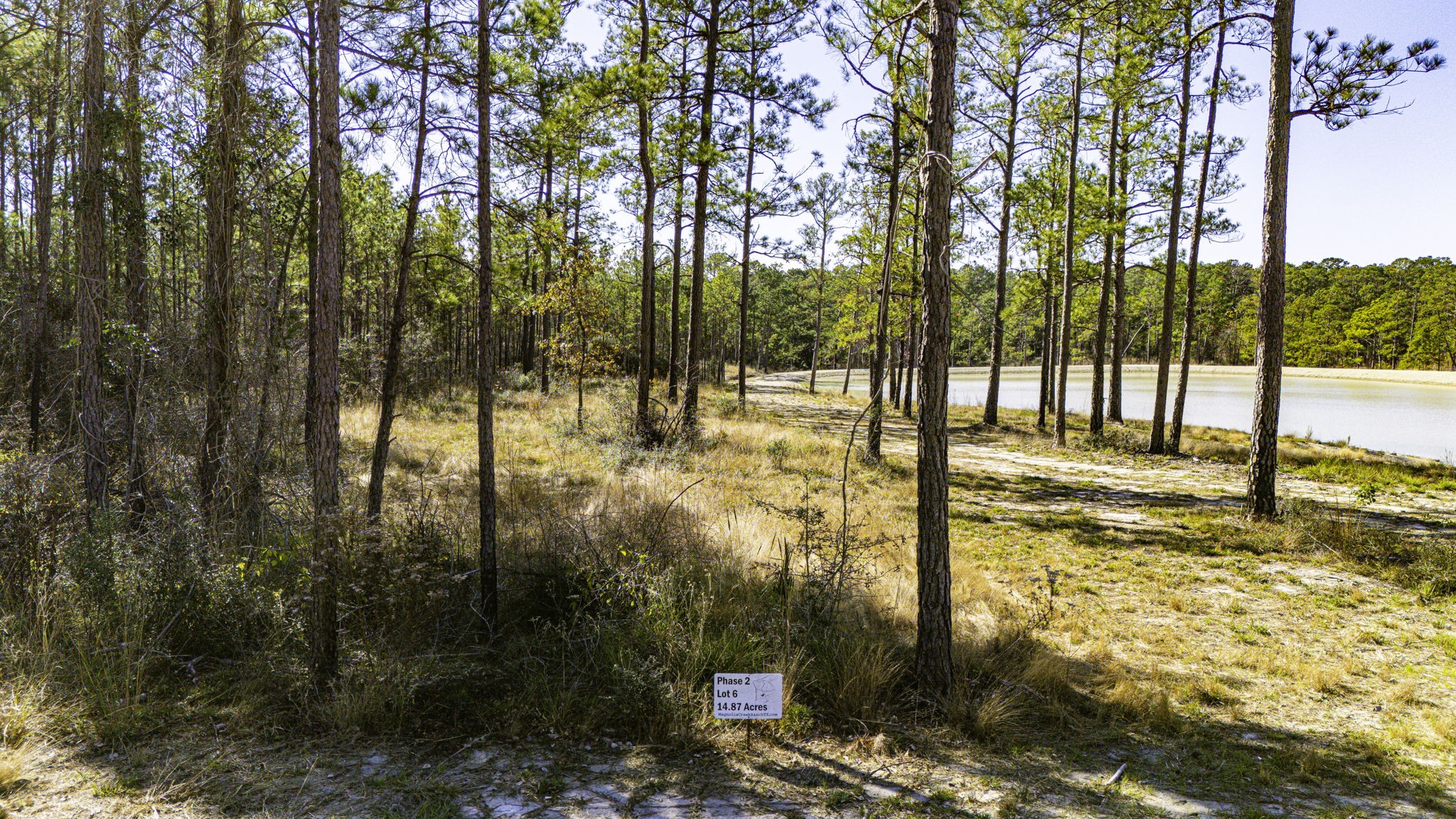 26 King Ranch Rd Road South Onalaska, TX 77360 - Photo 7 of 16 a view of yard