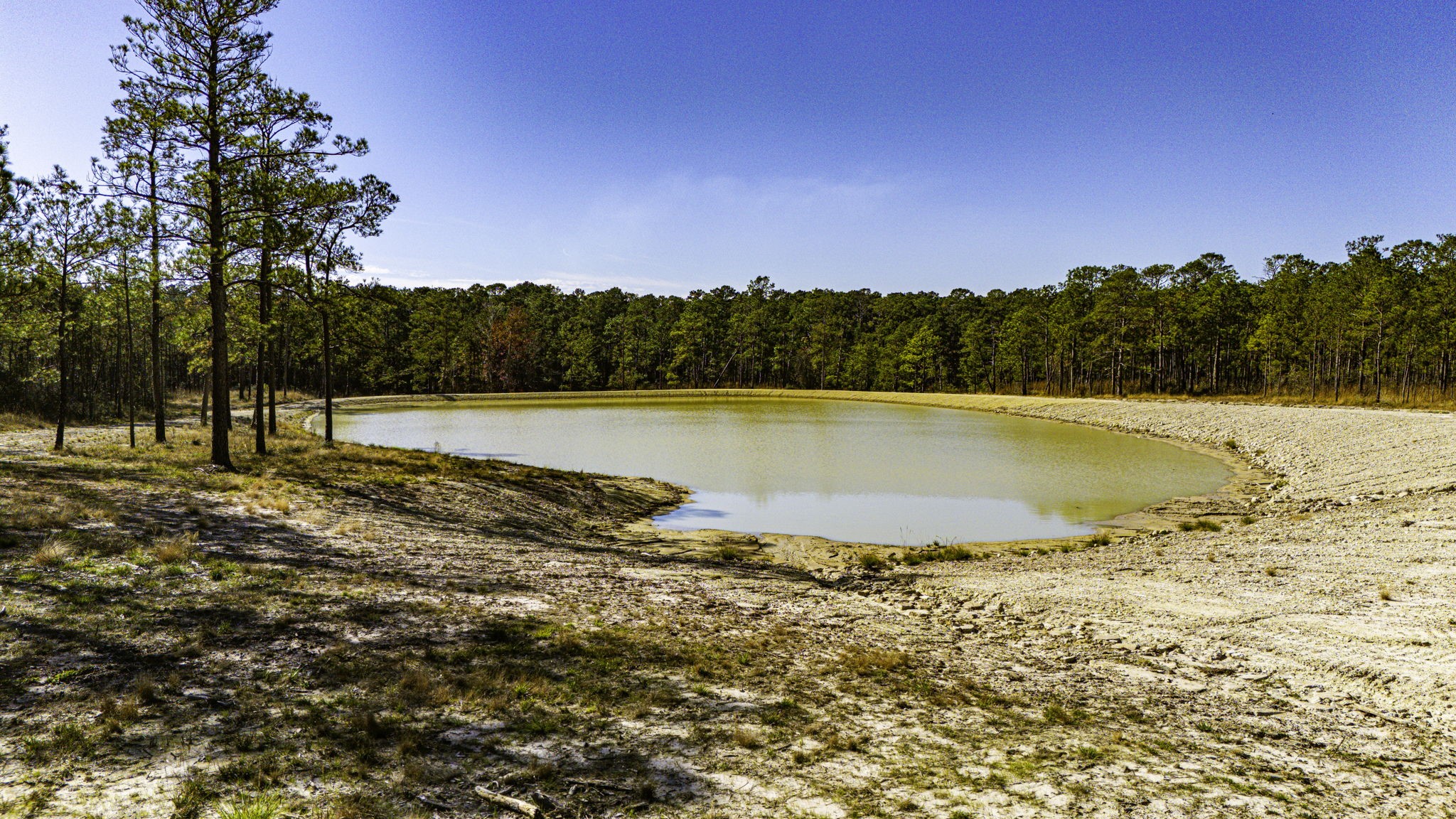 26 King Ranch Rd Road South Onalaska, TX 77360 - Photo 8 of 16 a view of ocean view with mountain