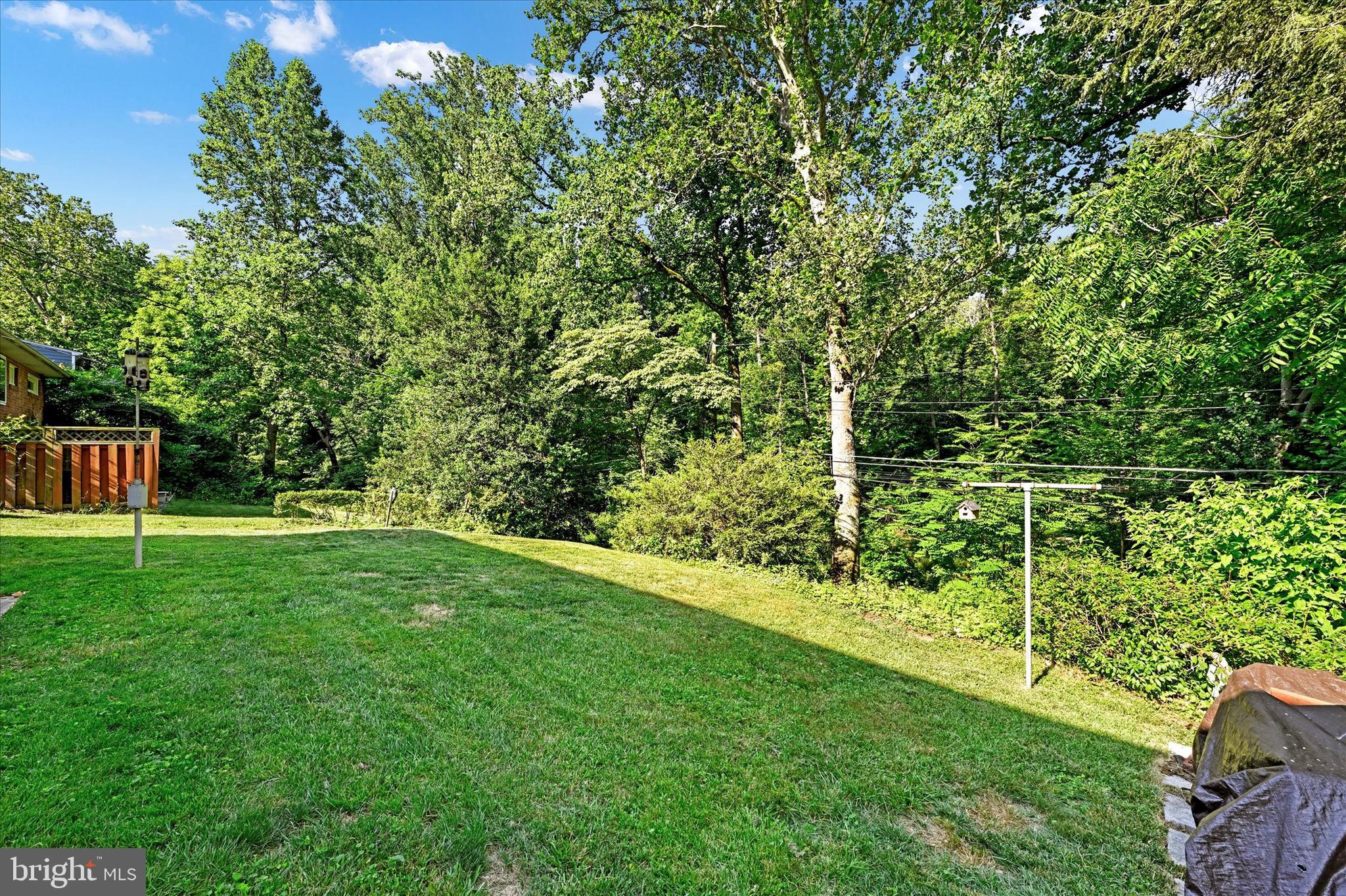 6754 Glenkirk Road Baltimore, MD 21239 - Photo 23 of 24 Back Yard Backs to Stream