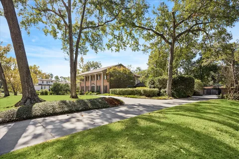 a view of a park with large trees