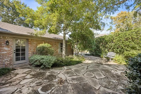 a view of a garden with pathway