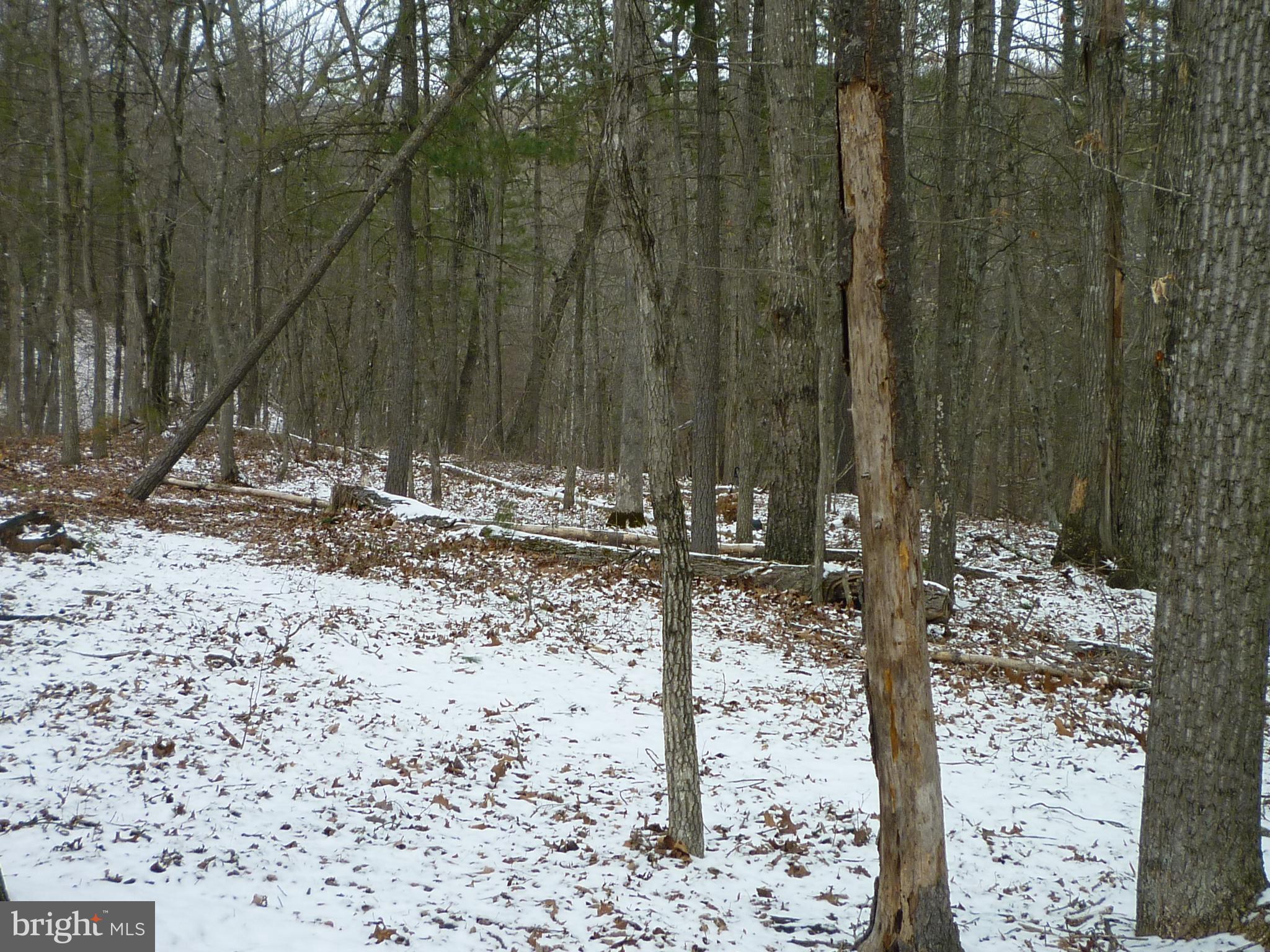 Killmon Road Basye, VA 22810 - Photo 1 of 2 Gallery Image 1