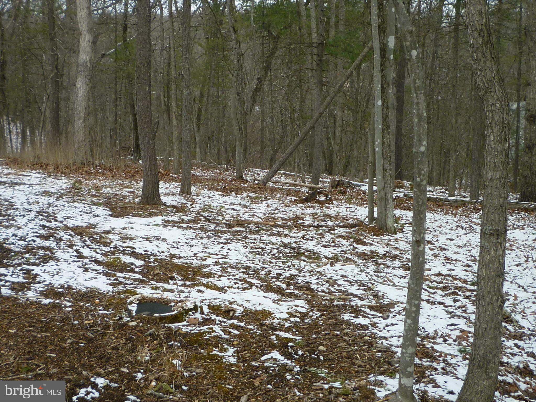 Killmon Road Basye, VA 22810 - Photo 2 of 2 Gallery Image 2