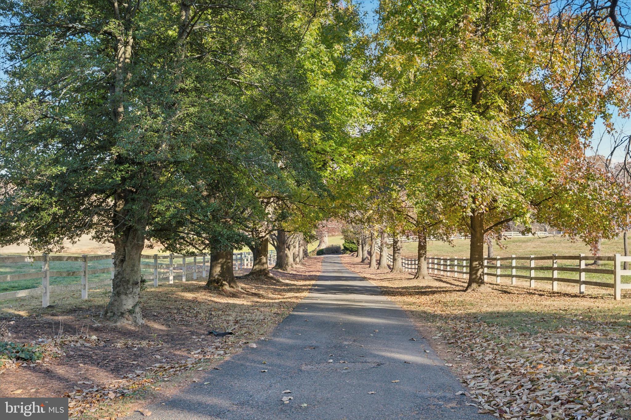 330 School Road Lincoln University, PA 19352 - Photo 4 of 88 Tree Lined Driveway