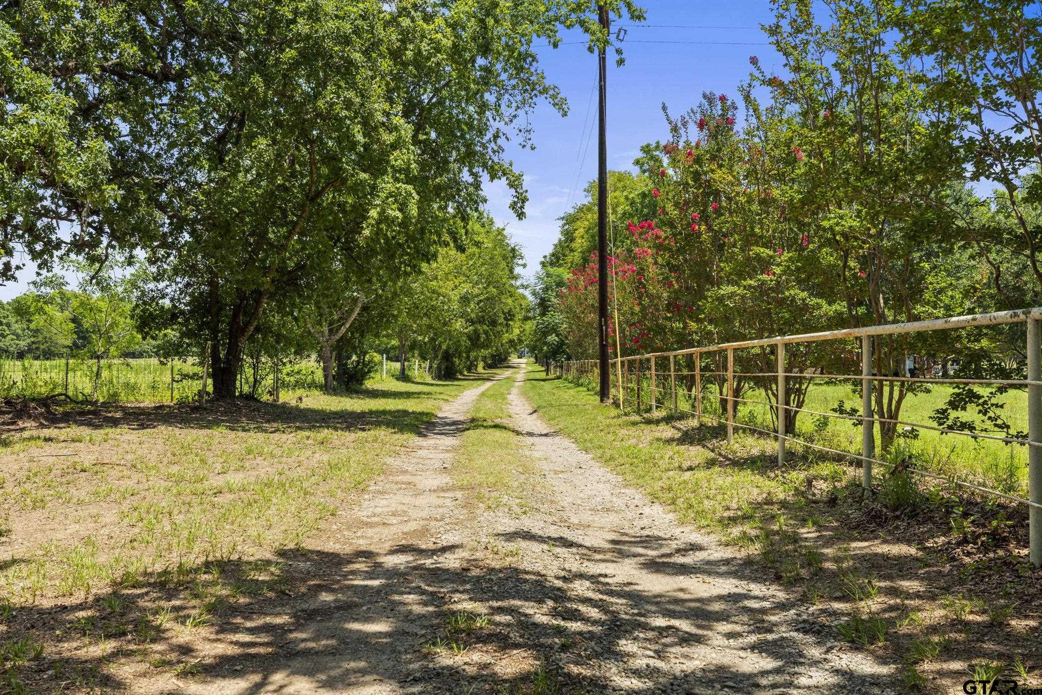 22741 County Road 448 Lindale, TX 75771 - Photo 41 of 48 a view of a yard with large trees