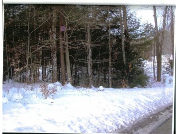 Barton Whitney Road Newport, NH 03773 - Photo 1 of 1