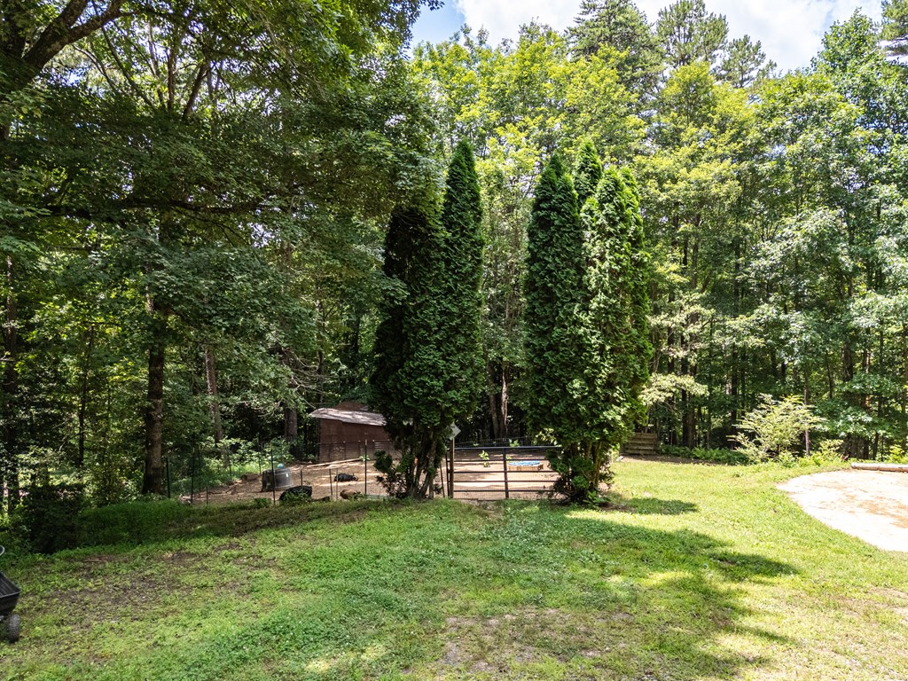 860 Holly Road Murphy, NC 28906 - Photo 50 of 62