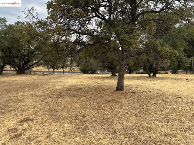 a view of empty space with large trees