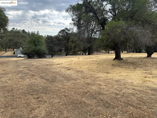 a street view covered with snow