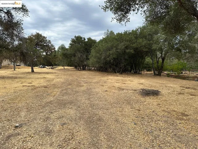 a view of empty space with large trees