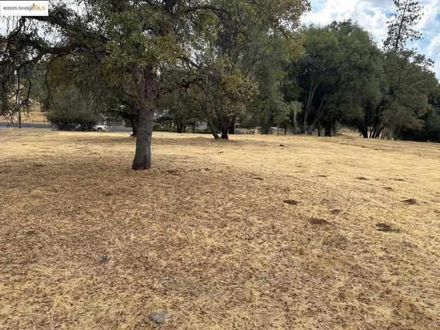 a view of yard with trees