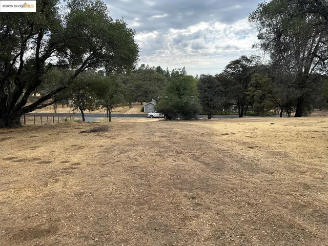 a view of a yard with trees