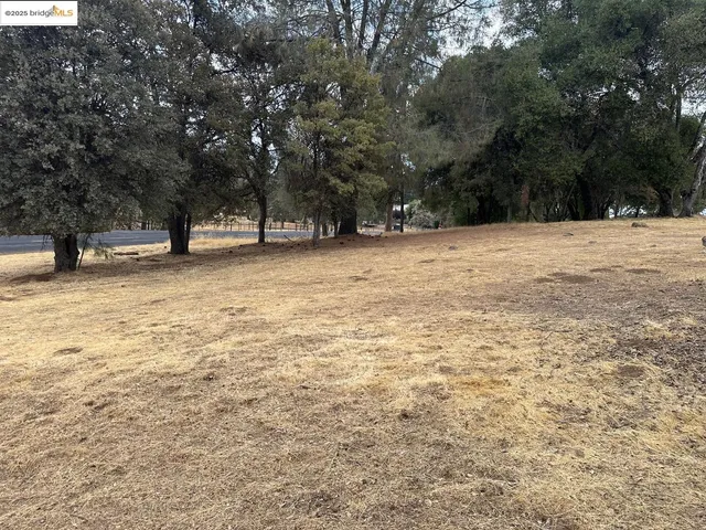 a view of a pool with trees in the background