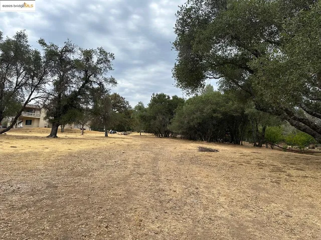 a view of yard with trees