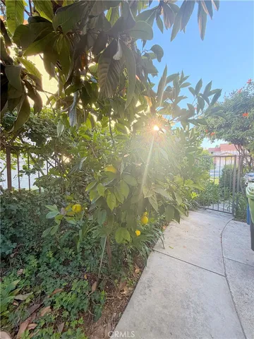 a backyard of a house